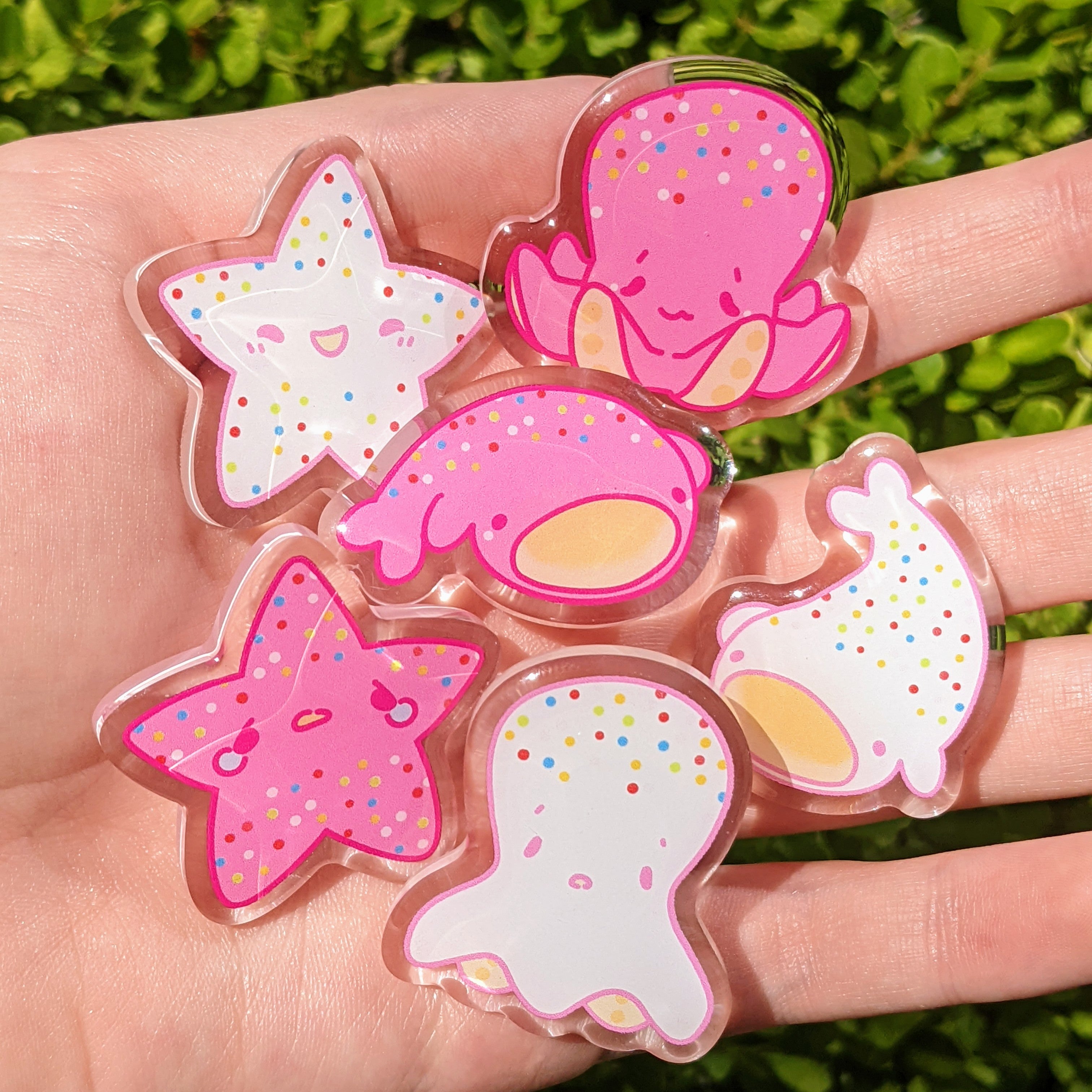 Cute Sea Cookie Acrylic Pins 1.5in – Milky Tomato